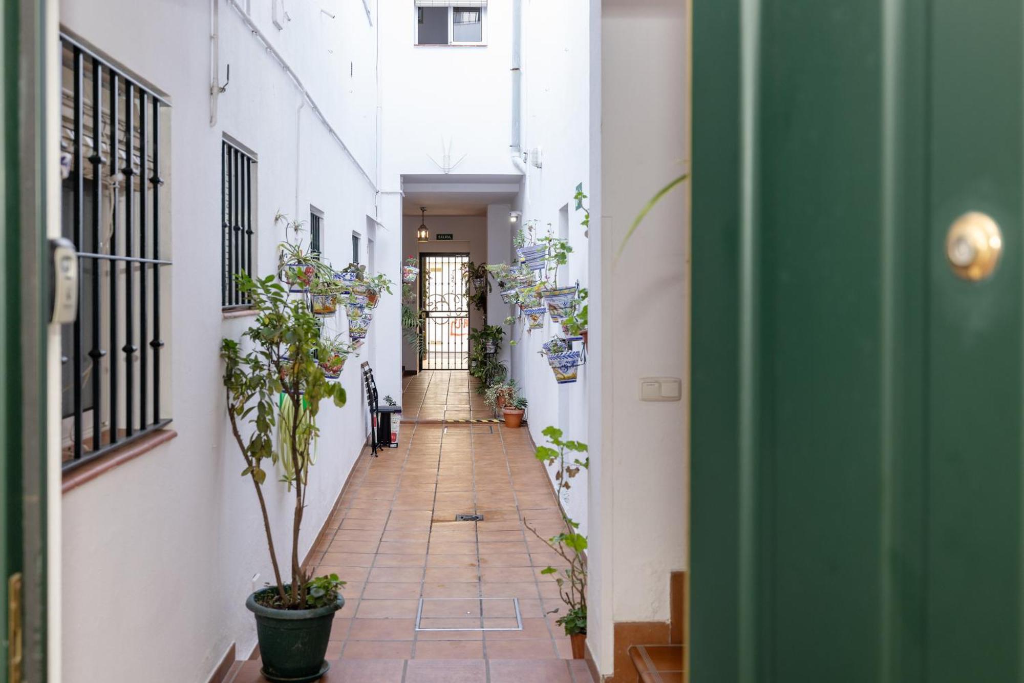 Apartamentos Trianasol 세비야 외부 사진