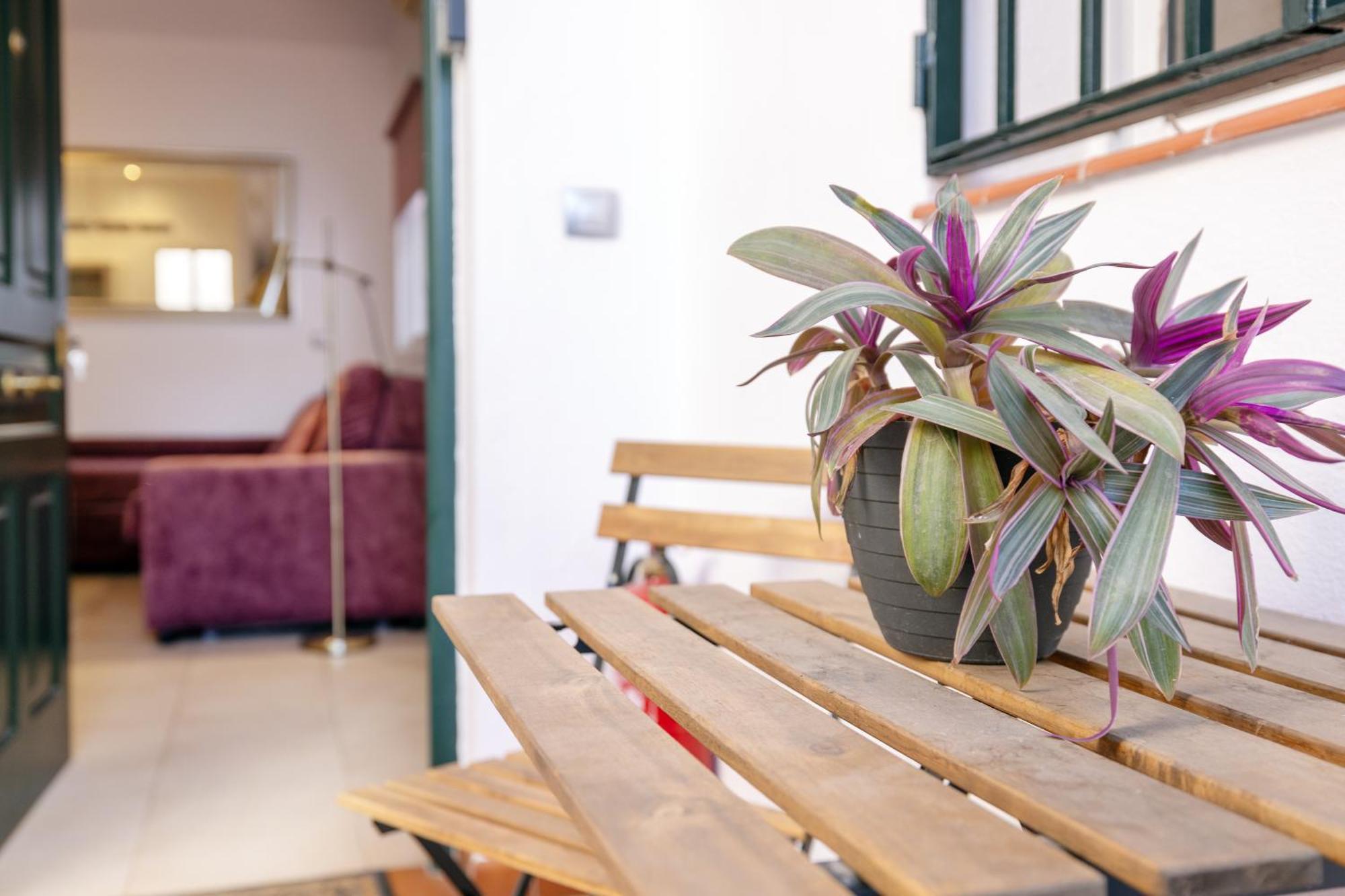 Apartamentos Trianasol 세비야 외부 사진